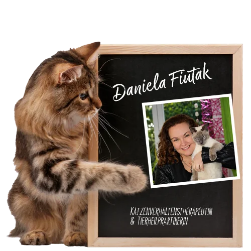 Dekoratives Bild Katze mit Portrait der Therapeutin